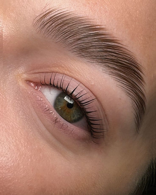 Bio Lash & Cosmetics: close-up van volle, opgeborstelde wenkbrauwen