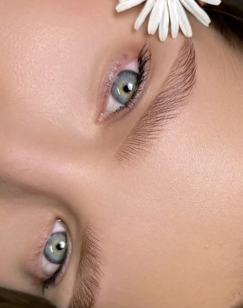 Bio Lash & Cosmetics: close-up van verzorgde wenkbrauwen en wimpers met een madeliefje